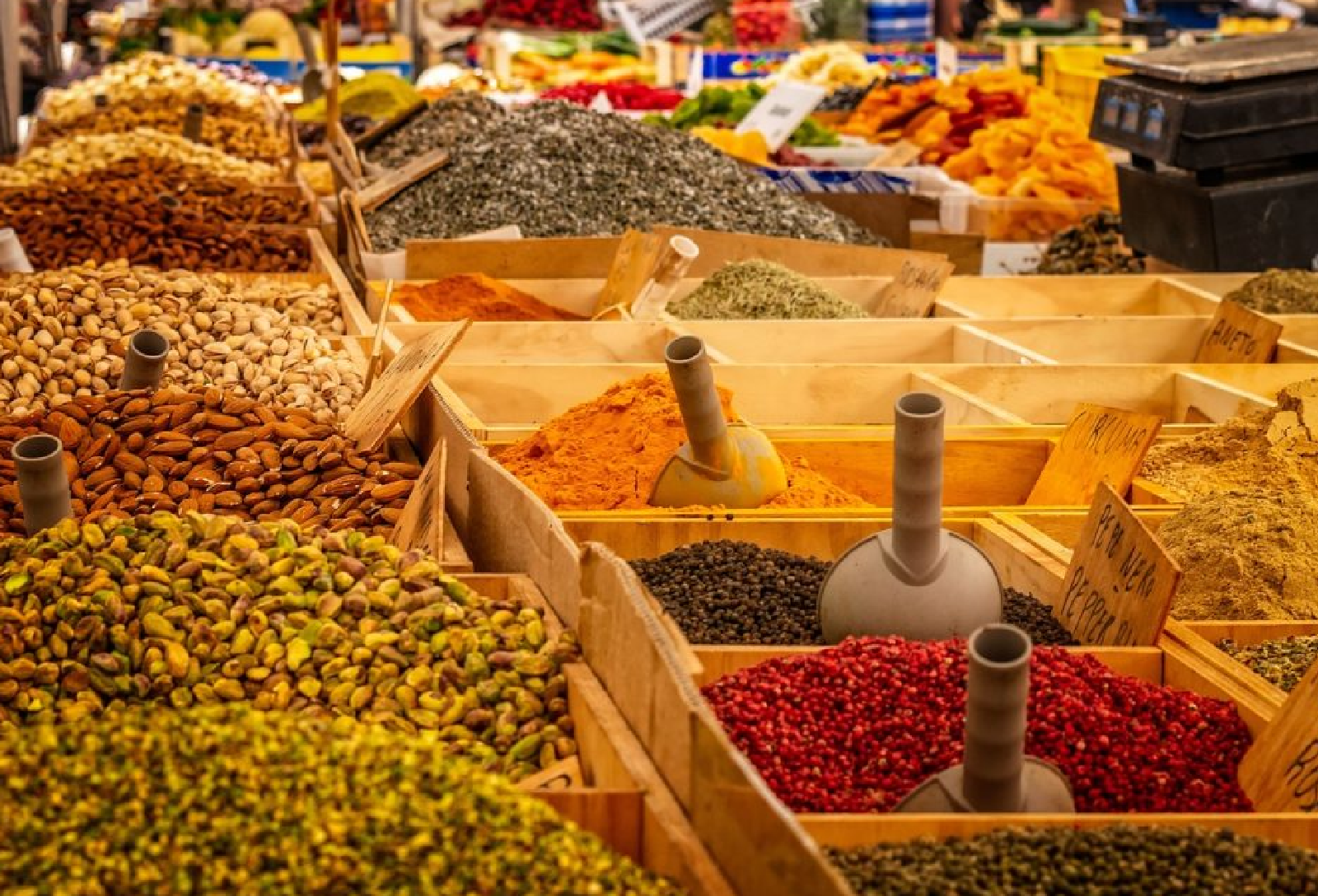 October in Fort Kochi: Spice Markets, Sea Breezes, and the Start of Peak Season